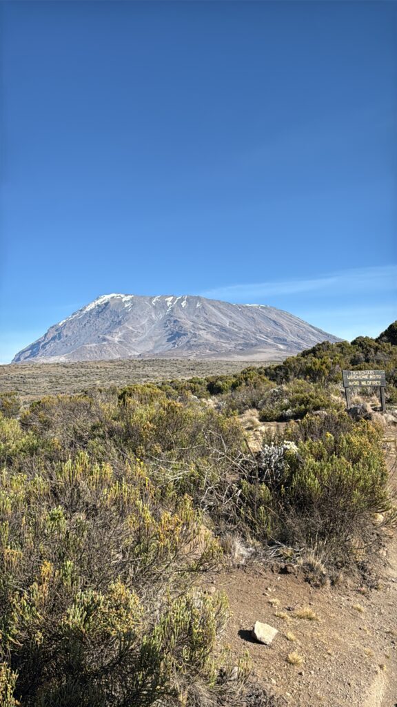 marangu route kilimanjaro