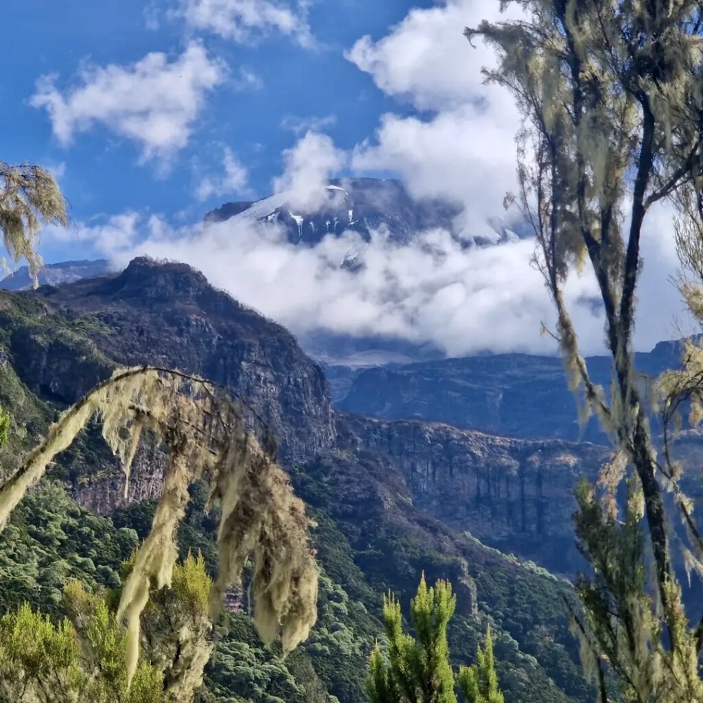 Umbwe Route Kilimanjaro beautiful view