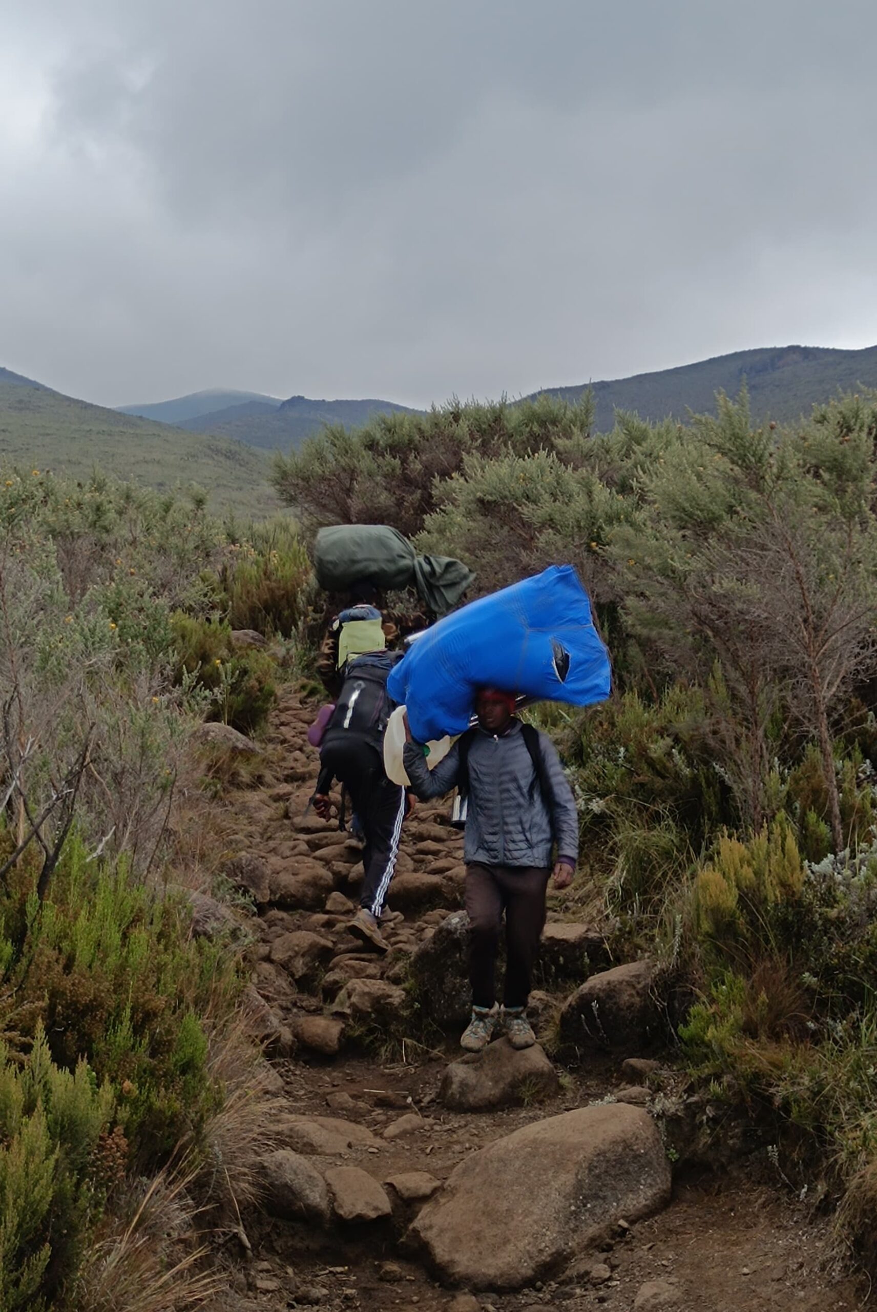 porters marangu route kilimanjaro