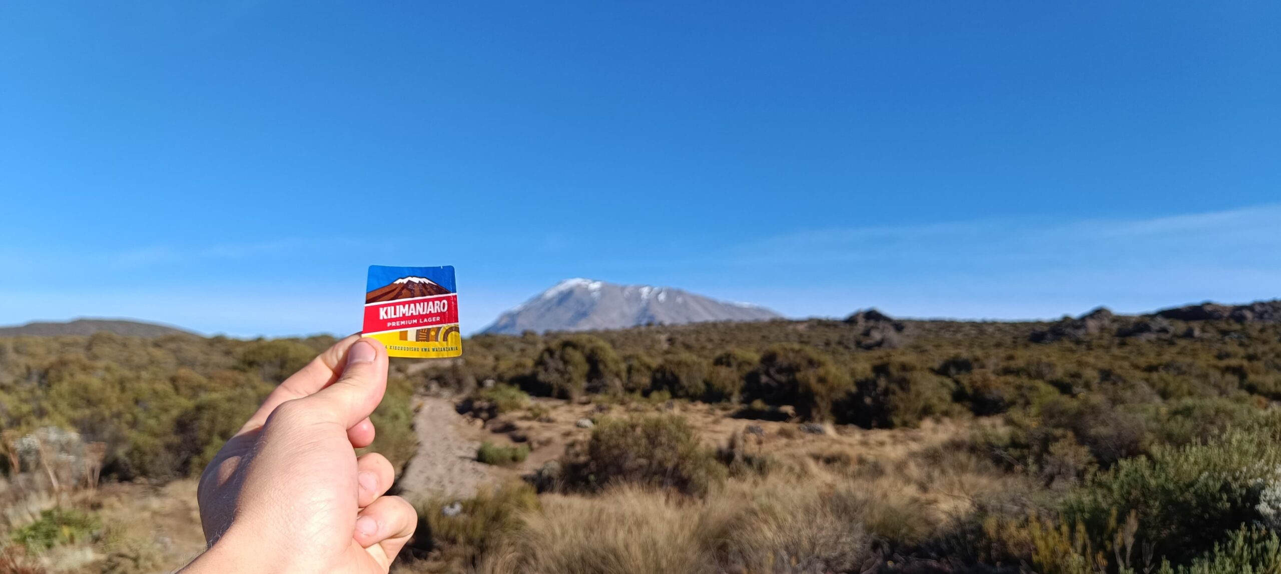 kilimanjaro beer while climbing to uhuru peak