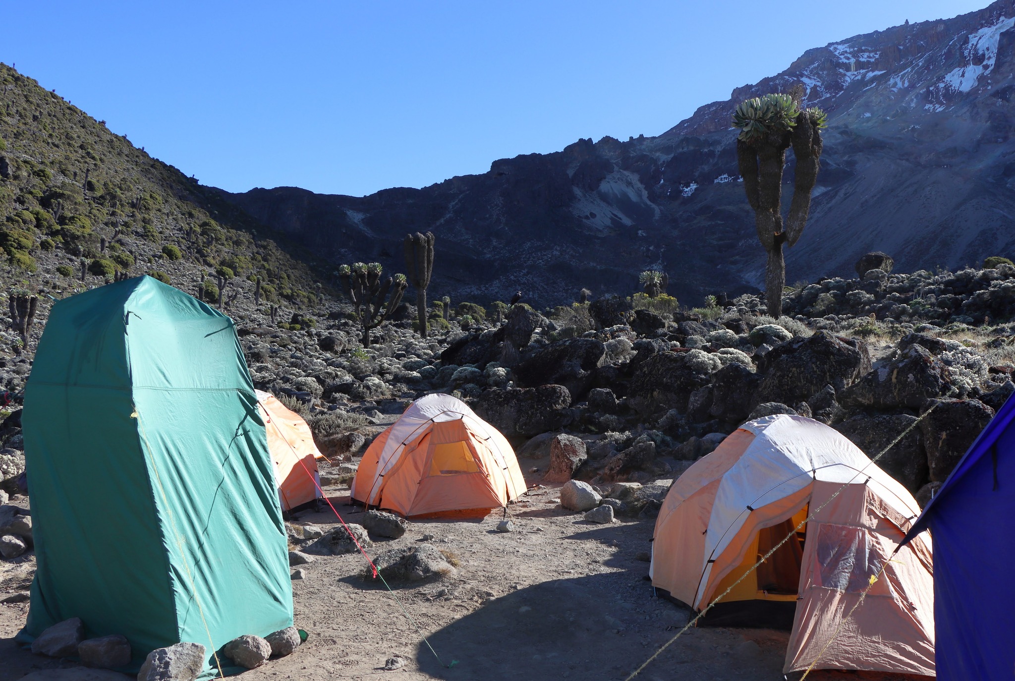kilimanjaro camping base camp