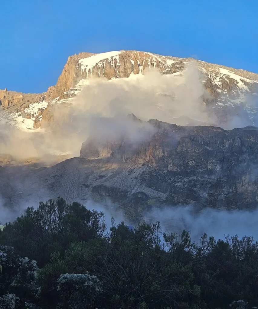 lemosho route kilimanjaro