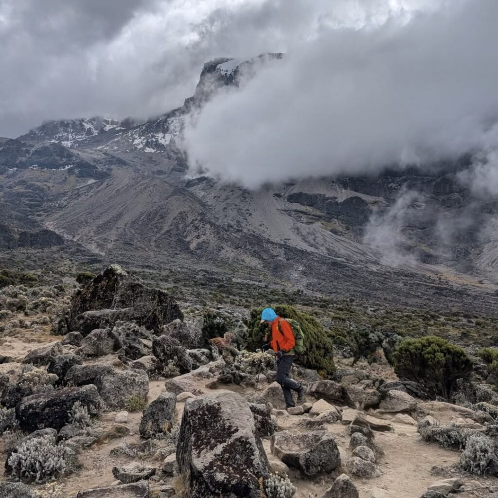 uhuru peak from Northern Circuit route
