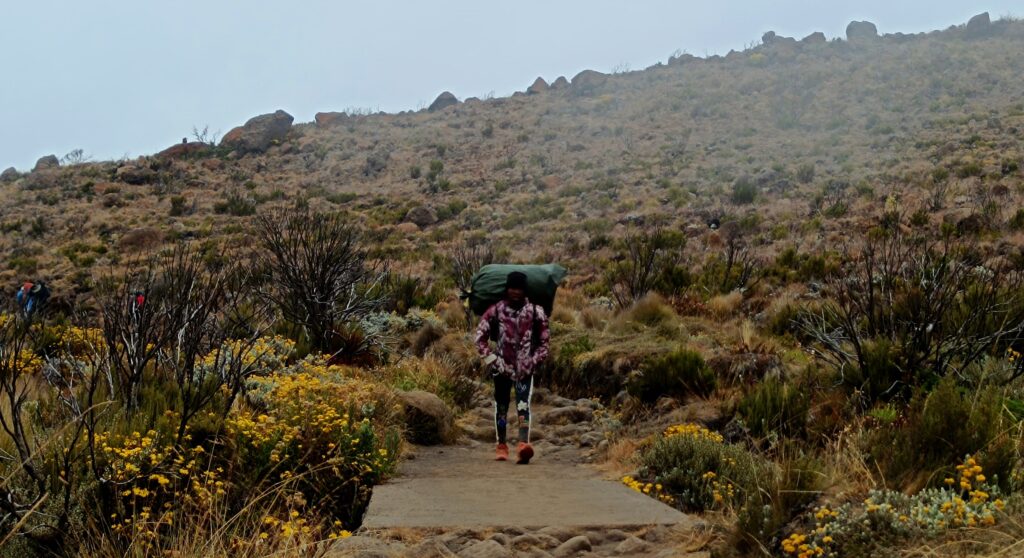 porters on kilimanjaro climbing