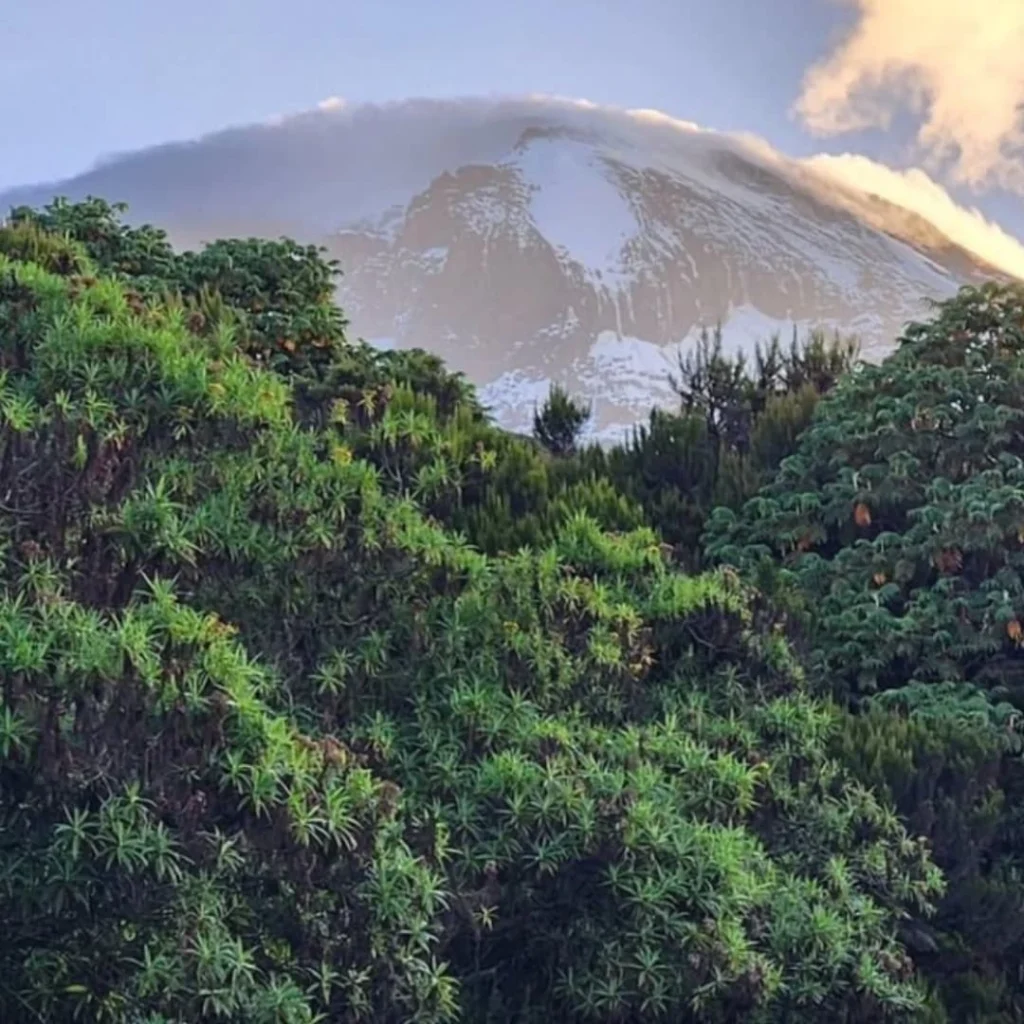 Kilimanjaro machame route