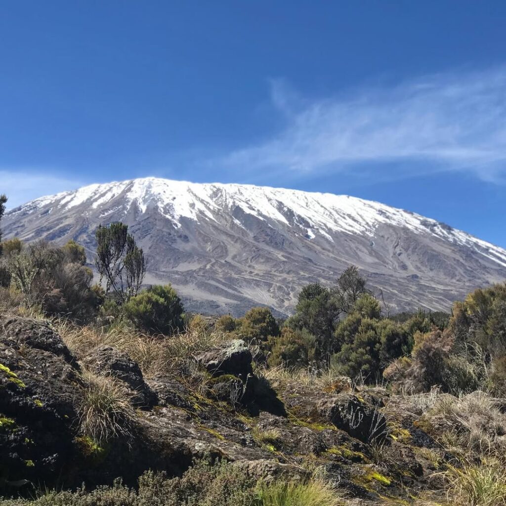 Kilimanjaro mountain rongai route snow