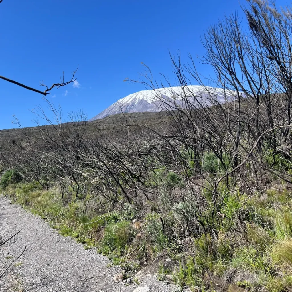 Kilimanjaro umbwe route path