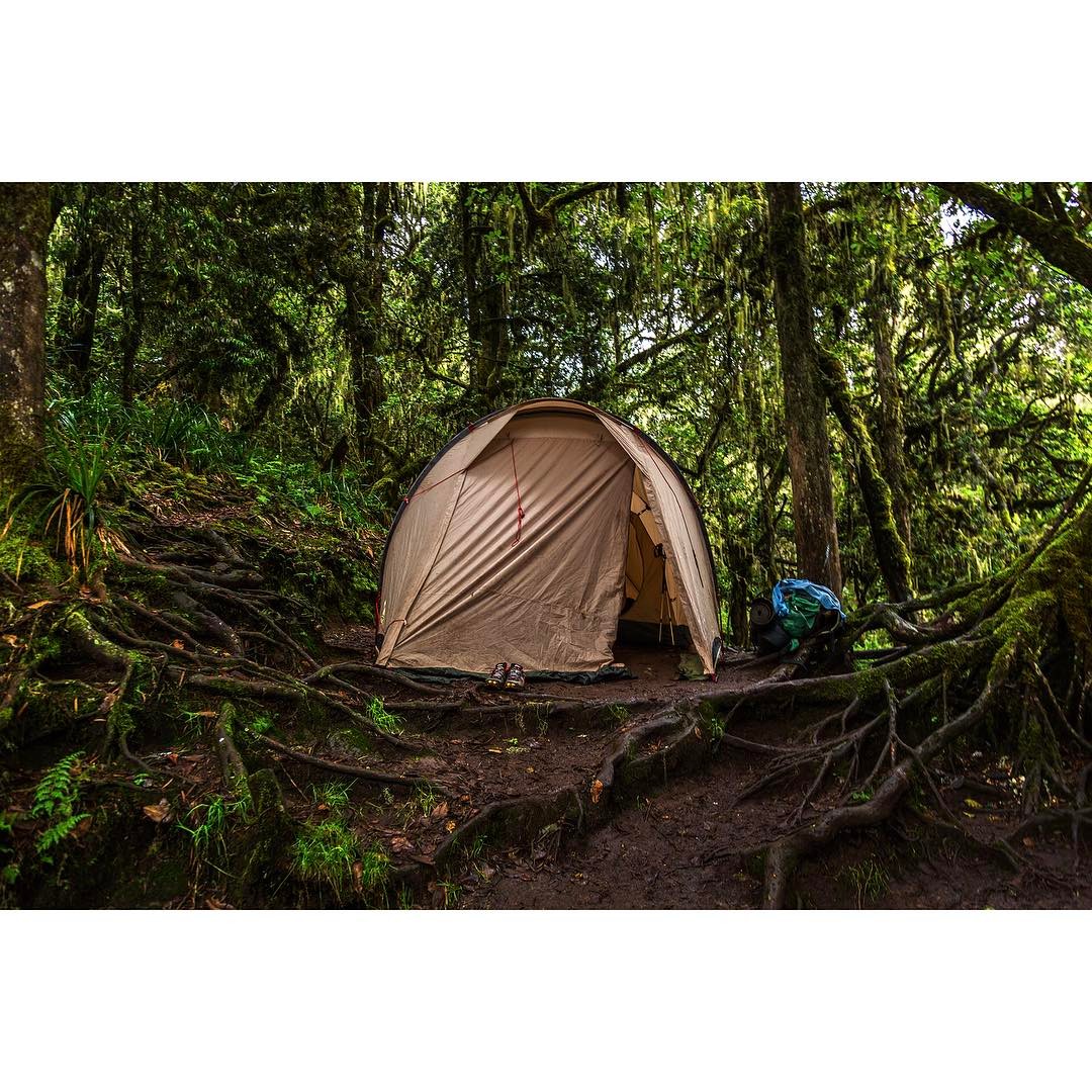 Kilimanjaro umbwe route tent trees