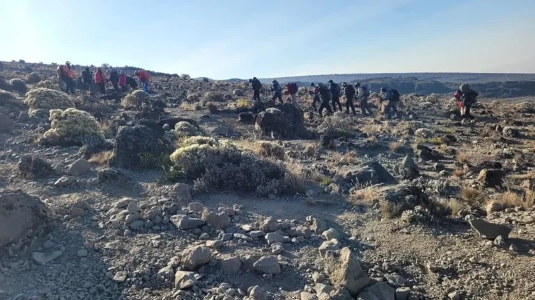 Machame route Kilimanjaro