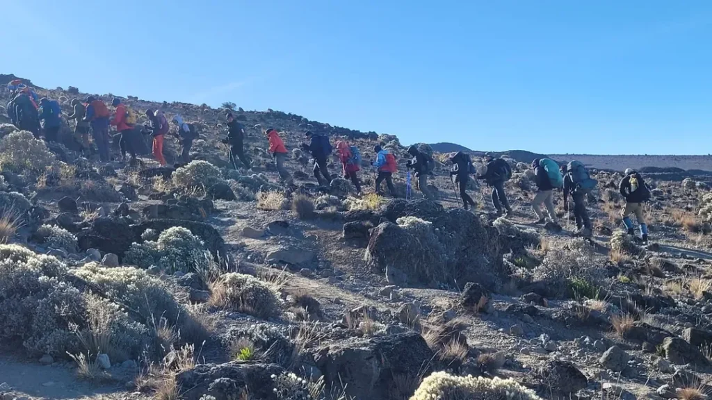 Machame route Kilimanjaro group