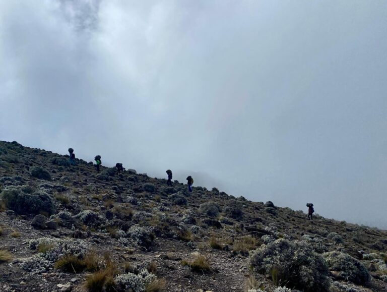 Machame route Kilimanjaro hiking