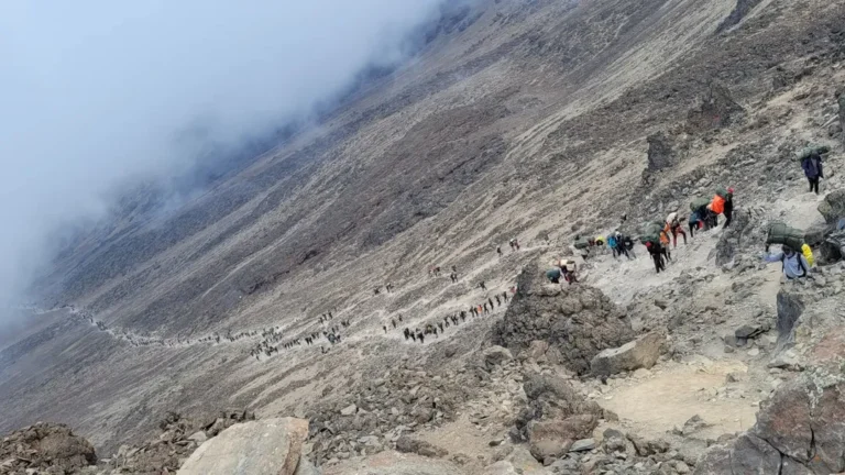 Machame route Kilimanjaro long group of people