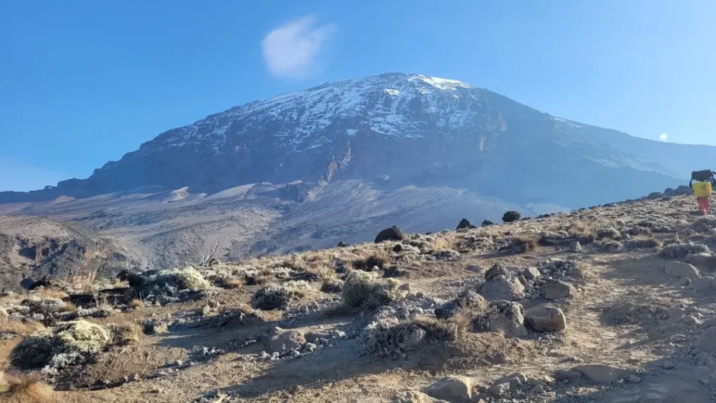 Machame-route-Kilimanjaro-path