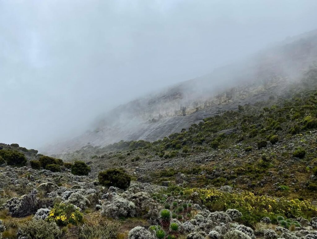 Mount Kilimanjaro baranco camp to Karanga camp