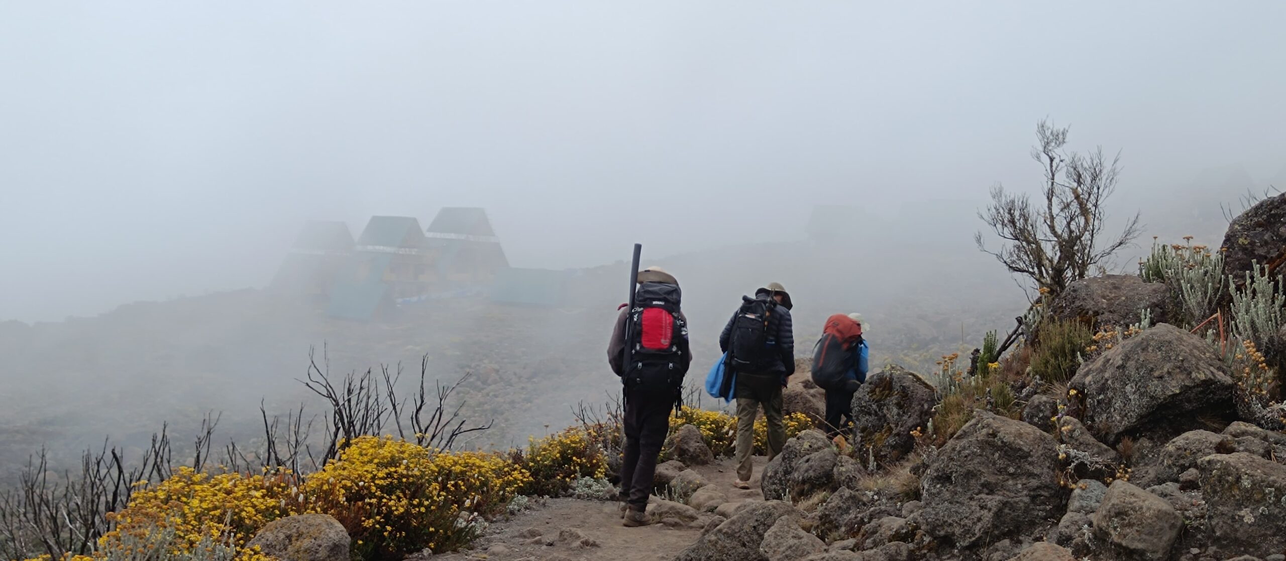 altitude sickness kilimanjaro