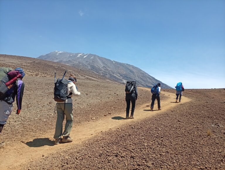 beginners guide for climbing to kilimanjaro