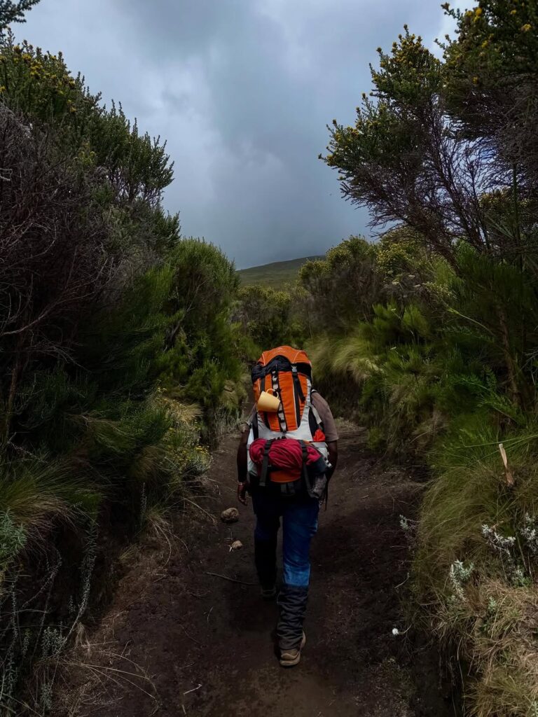 trekking thru lemosho route