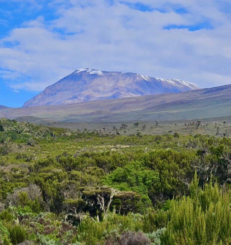 view on a mountain from base camp