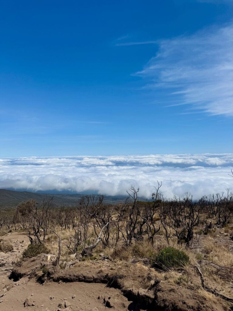 Kilimanjaro Barafu Camp clouds
