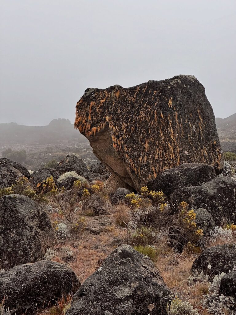 Kilimanjaro Lemosho Route big rock