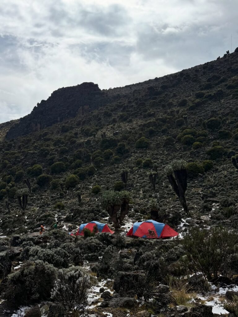 Kilimanjaro Lemosho Route tent red and blue