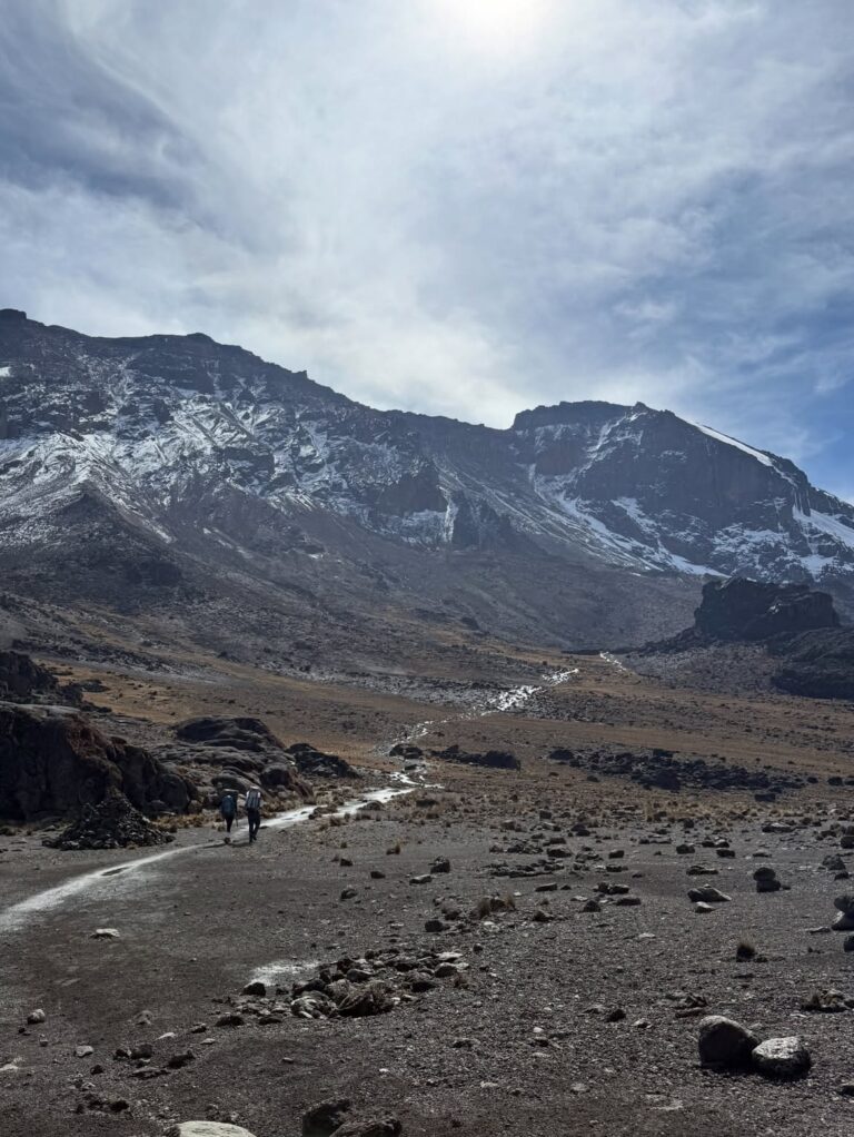 Kilimanjaro Lemosho Route trekking climbers