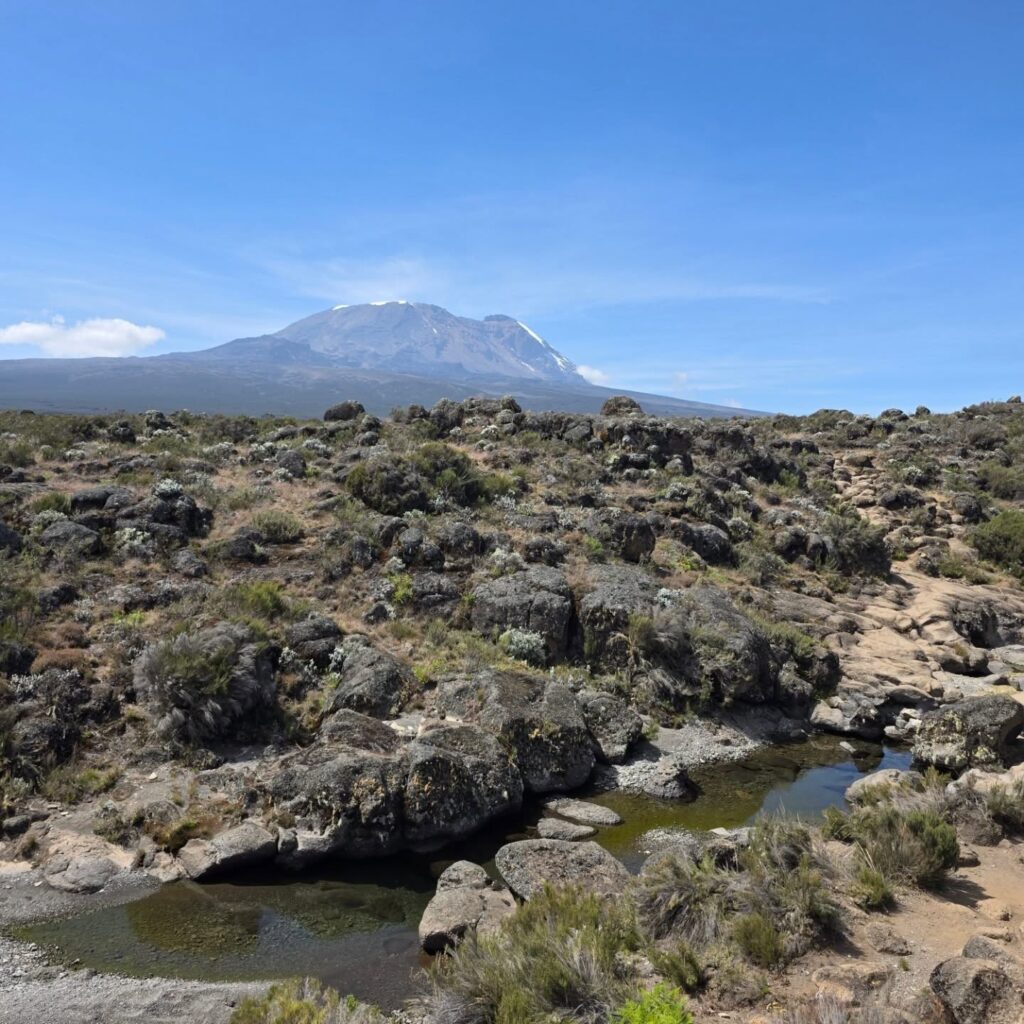 Kilimanjaro-Lemosho-Route-water-stones