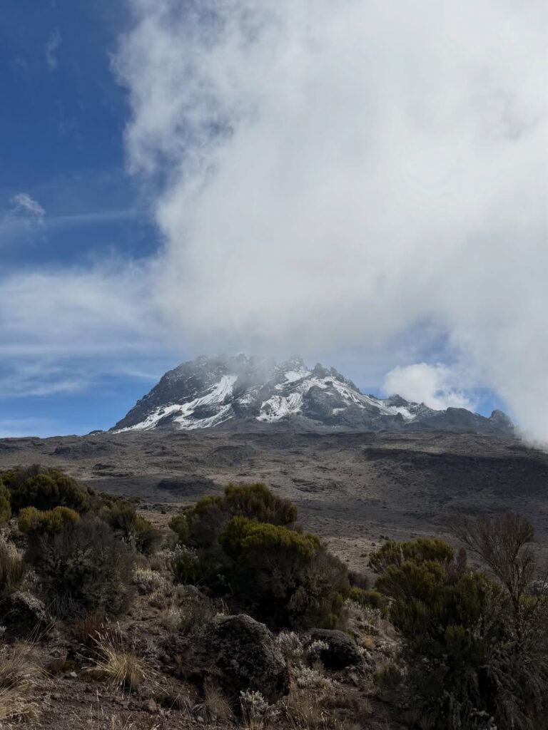 Kilimanjaro mount Marangu route snow