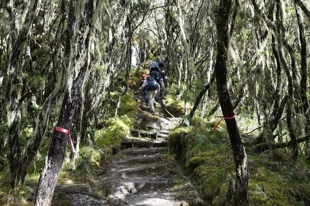 Kilimanjaro umbwe route baranco camp climbers