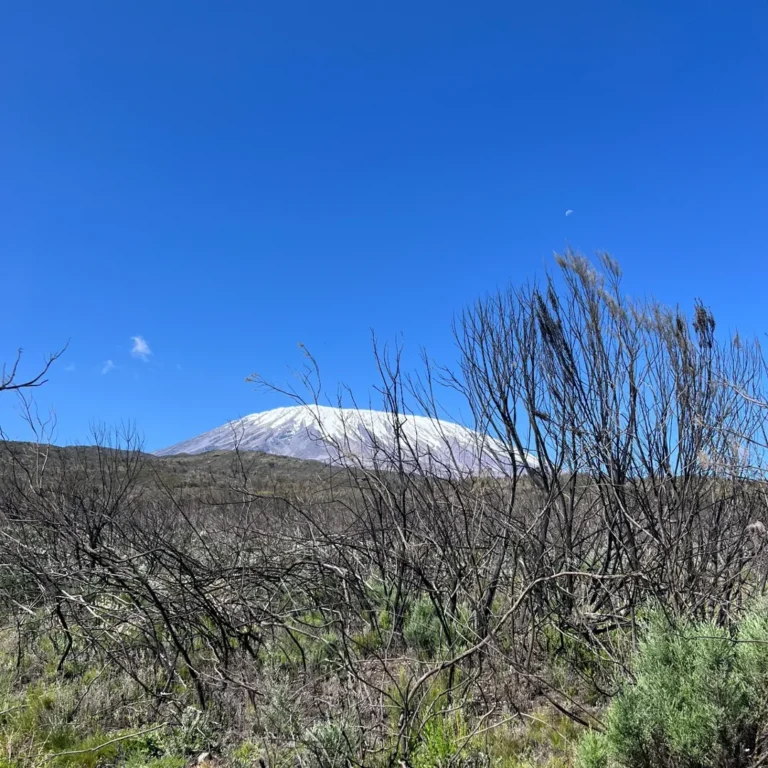 Kilimanjaro-umbwe-route-snow-on-the-top-mount