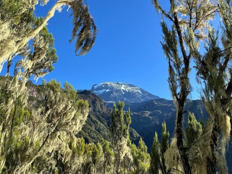 Kilimanjaro umbwe route view to mount