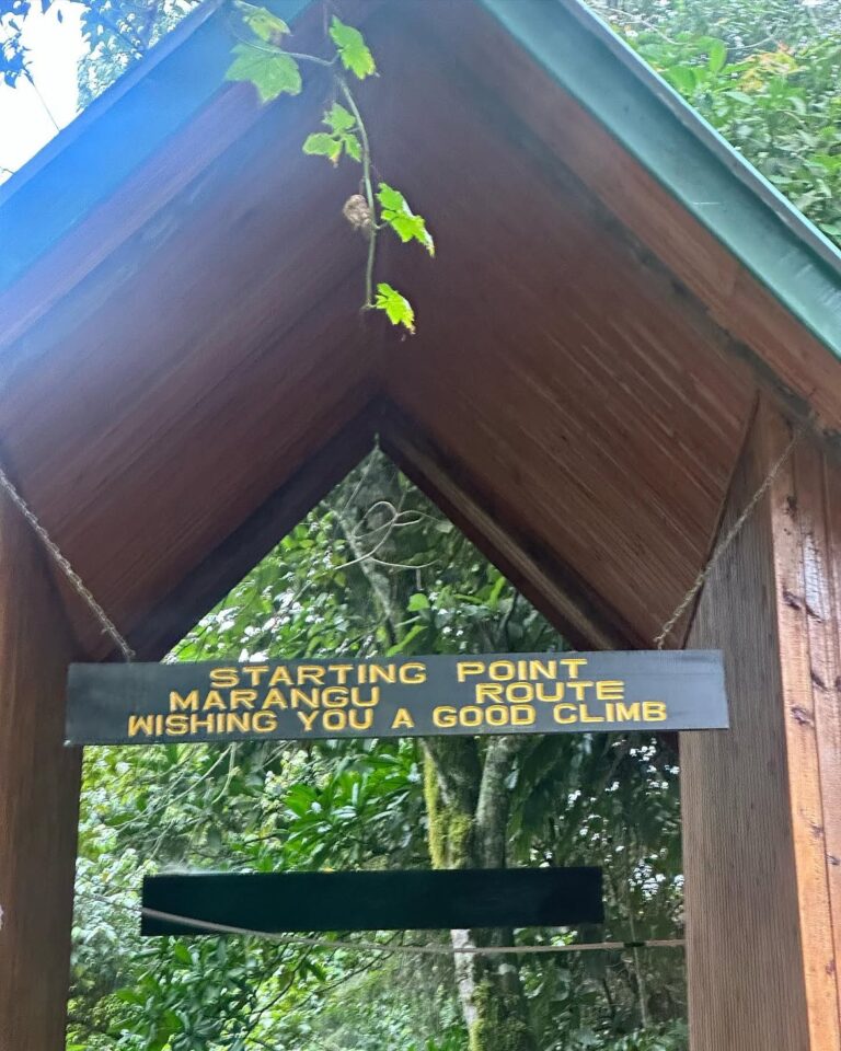 Marangu Route Kilimanjaro starting point