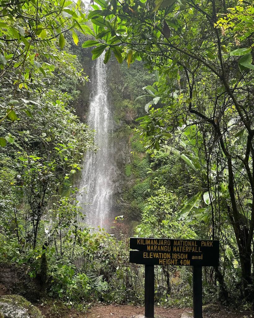 Marangu Route Kilimanjaro waterfall