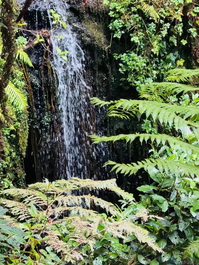 kilimanjaro mount waterfall