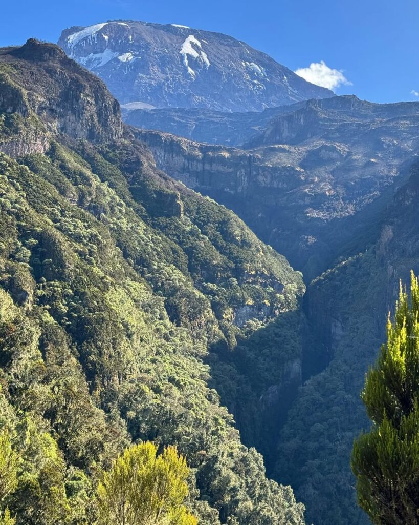 kilimanjaro umbwe route green