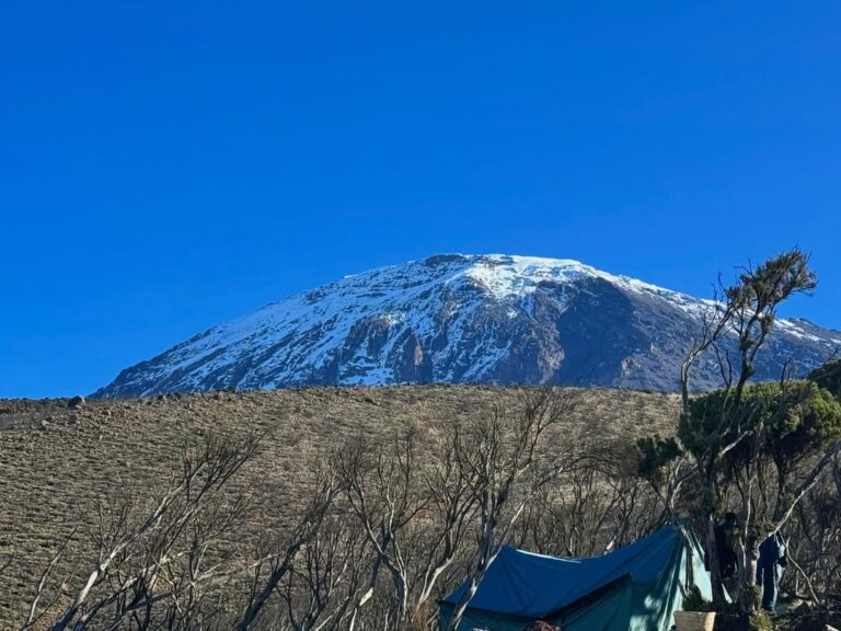 kilimanjaro umbwe route top of the mount snow tent