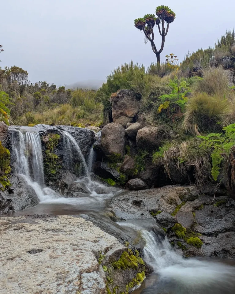 marangu Route - Kilimanjaro water rock